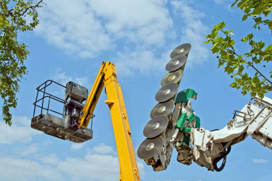 Reputable Local Tree Service in San Antonio, TX Your Reliable Tree Expert in San Antonio, TX